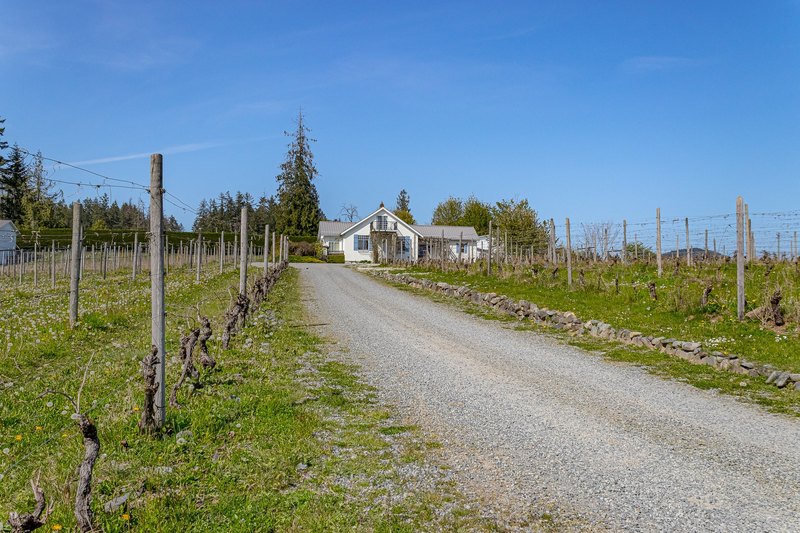Vineyard rows and gravel driveway at Emandare Winery and Vineyard in the Cowichan Valley
