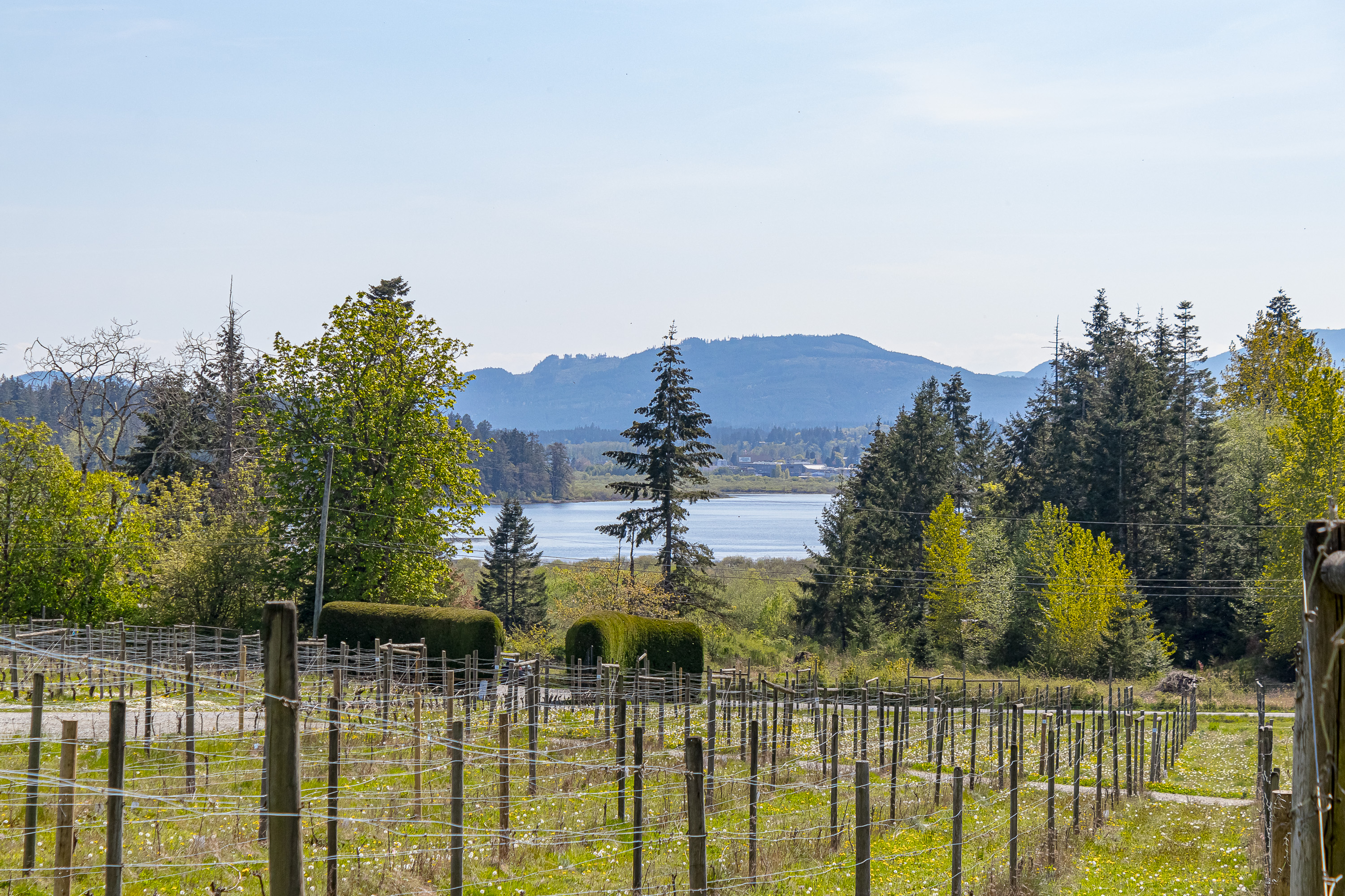 Emandare test listing #3